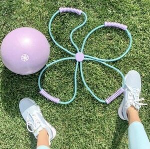 Gaiam Ultimate Core Toning Kit